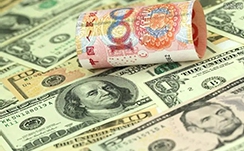 我的金轮是什么梗
